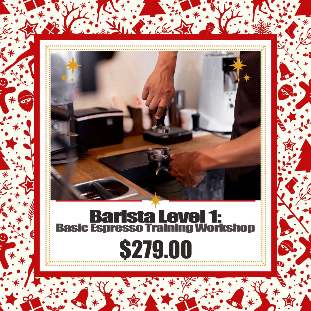 Barista Level 1: Basic Espresso Training